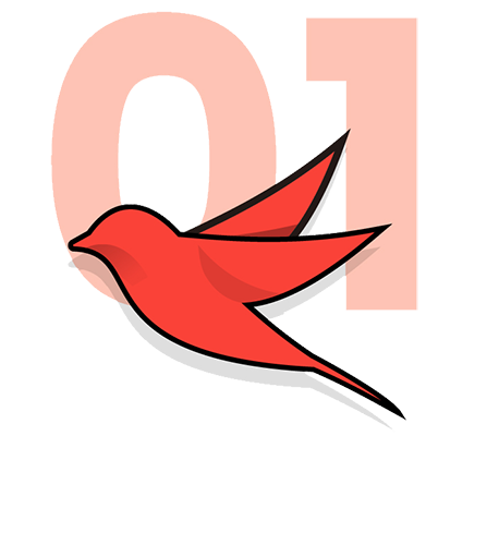 iconos-sdp-01